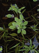 IMG_9148
