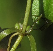 IMG_9157