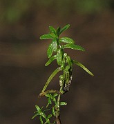 IMG_7512