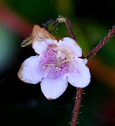 IMG_0160