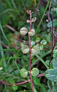 IMG_4476