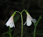 IMG_7899