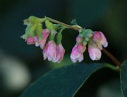 IMG_2001