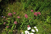 IMG_1484