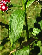 IMG_1492