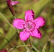 IMG_1201