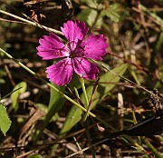 IMG_1202