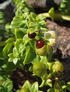 IMG_0514
