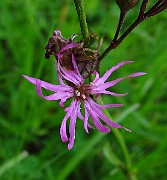 IMG_2368