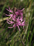 IMG_7071
