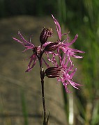 IMG_7073
