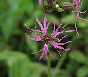 IMG_8392