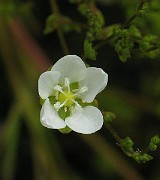 IMG_2145