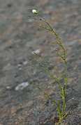 IMG_2150