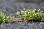 IMG_1116