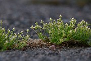 IMG_1117
