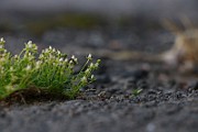 IMG_1119
