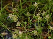 IMG_1541