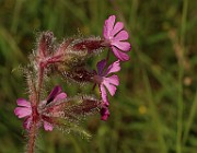 IMG_1320