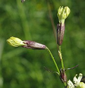 IMG_7351