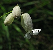 IMG_7771