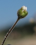 IMG_9779