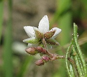 IMG_6179