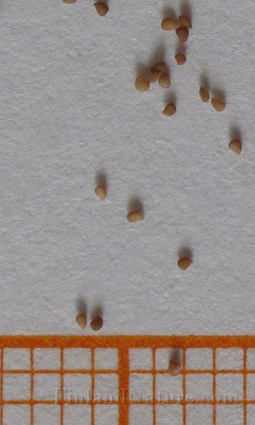 IMG_8122b.jpg