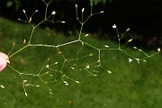 IMG_1721