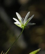 IMG_2255