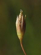 IMG_2256