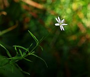 IMG_3748