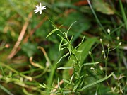 IMG_3749