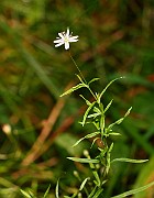 IMG_3750