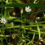 IMG_3751