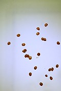 IMG_6087