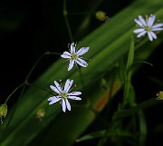 IMG_6189