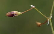 IMG_9343