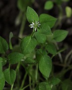 IMG_1604