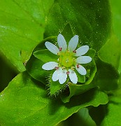 IMG_6410