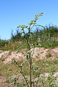 IMG_1760