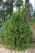 IMG_0681