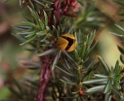 IMG_2372