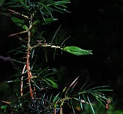 IMG_2501