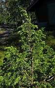 IMG_8100