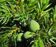 IMG_8102