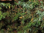 IMG_8327