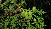 IMG_8869
