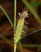 IMG_0019