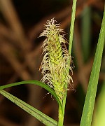 IMG_0020